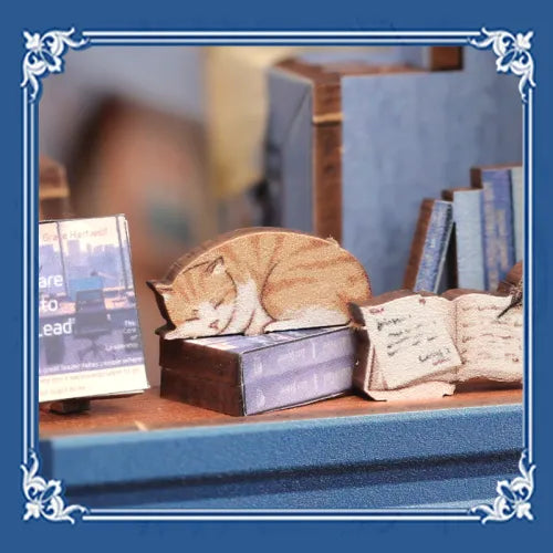 Un chaton à la fenêtre