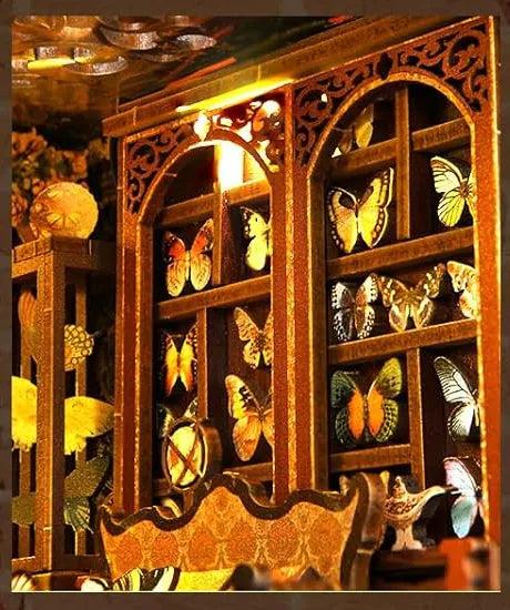 Vitrine de spécimens de papillons