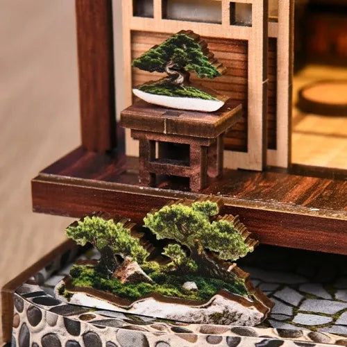 Bonsaï à l'extérieur de la maison