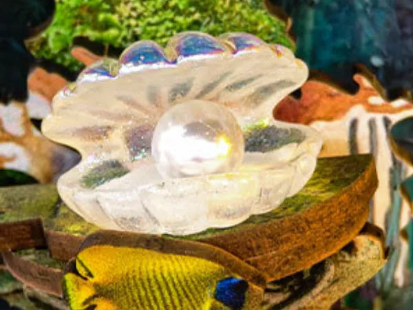 Coquillage avec perle