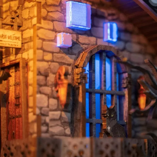 Chat noir à la fenêtre