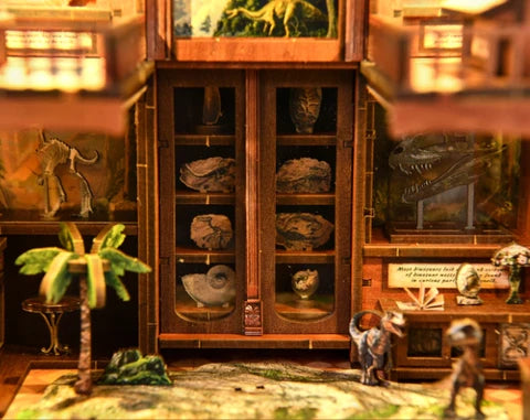 Vitrine de musée et fossiles