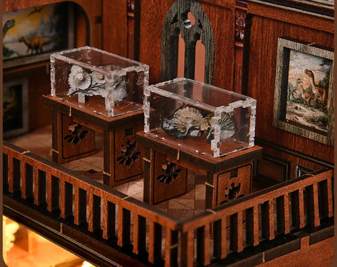 Vitrines d'exposition et spécimens