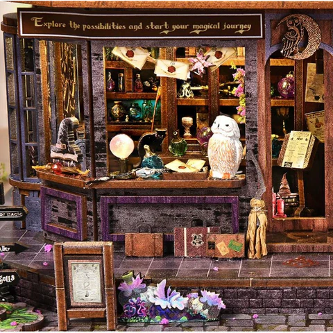 Vitrine enchantée et chouette
