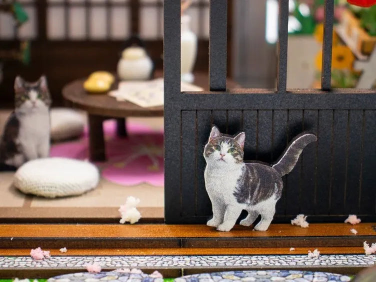 Porte coulissante et chaton curieux