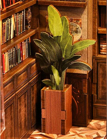 Plante verte et bibliothèque